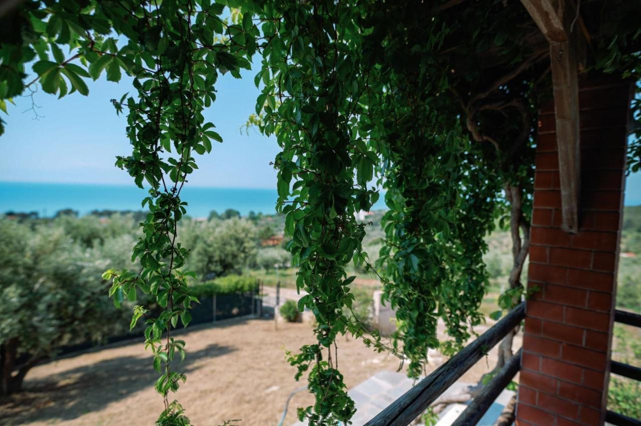 Aiolos Alexandroupoli